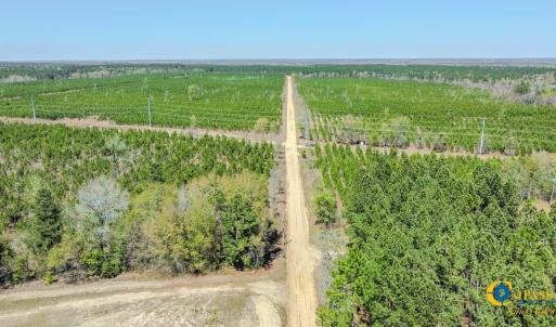 Delray Tract South Carolina-04