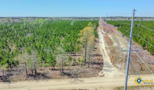 Delray Tract South Carolina-05