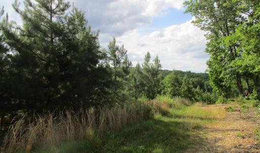 Photo #2 of Dyestone Ridge Ln, Gladstone, VA 153.7 acres