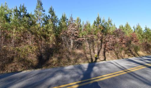 Photo #25 of Plank Road, Dillwyn, VA 30.3 acres