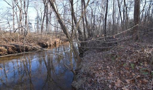 Photo #1 of Plank Road, Dillwyn, VA 30.3 acres