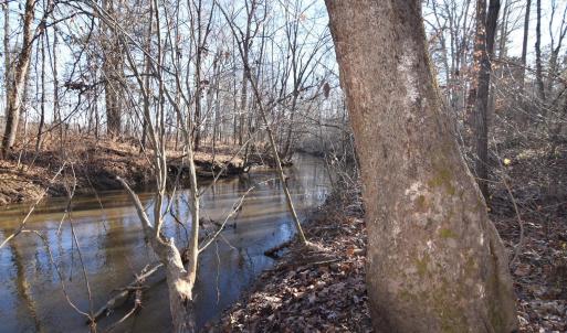 Photo #17 of Plank Road, Dillwyn, VA 30.3 acres