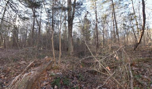 Photo #18 of Plank Road, Dillwyn, VA 30.3 acres