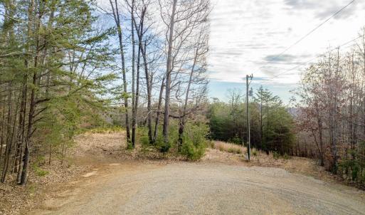 Photo #12 of Red Birch Dr Lot 34, Pittsville, VA 4.9 acres