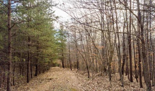 Photo #11 of Red Birch Dr Lot 34, Pittsville, VA 4.9 acres