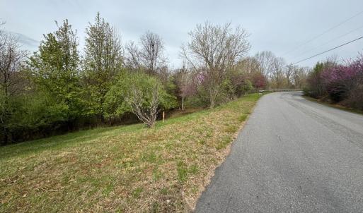 Photo #2 of 1 Trails End Road, Goodview, VA 1.4 acres