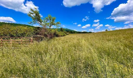 Photo #66 of 127 Albert Farm Rd, Monroe, VA 225.2 acres