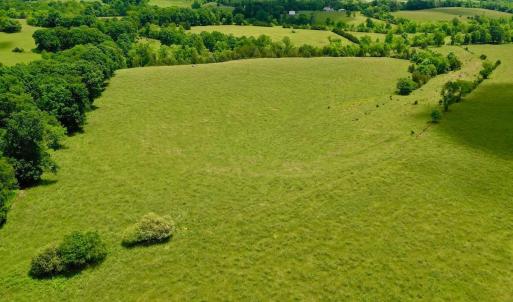 Photo #70 of 127 Albert Farm Rd, Monroe, VA 225.2 acres