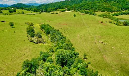 Photo #77 of 127 Albert Farm Rd, Monroe, VA 225.2 acres