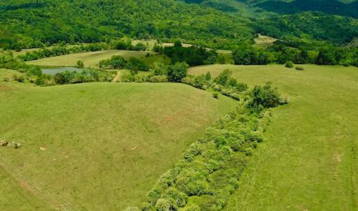 Photo #76 of 127 Albert Farm Rd, Monroe, VA 225.2 acres