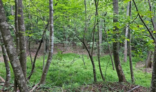 Photo #6 of 28 Christian Mill Road, Amherst, VA 45.5 acres
