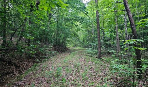 Photo #12 of 28 Christian Mill Road, Amherst, VA 45.5 acres