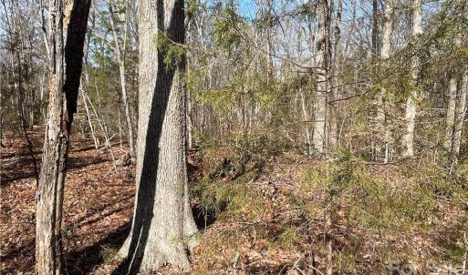 Photo #12 of 161 Little River Trail Little River, Indian Land, SC 25.4 acres