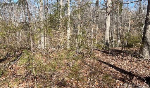 Photo #13 of 161 Little River Trail Little River, Indian Land, SC 25.4 acres