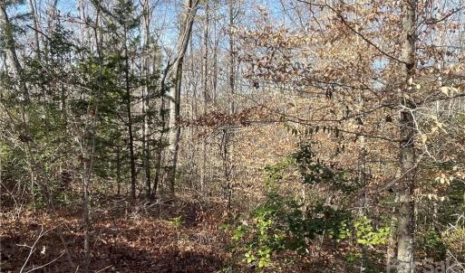 Photo #14 of 161 Little River Trail Little River, Indian Land, SC 25.4 acres