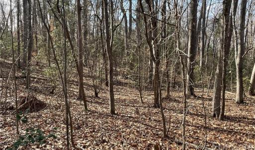 Photo #18 of 161 Little River Trail Little River, Indian Land, SC 25.4 acres