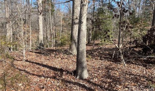 Photo #11 of 161 Little River Trail Little River, Indian Land, SC 25.4 acres