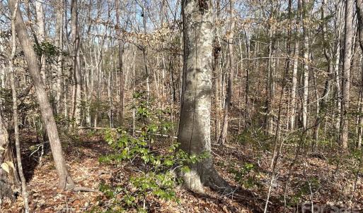 Photo #10 of 161 Little River Trail Little River, Indian Land, SC 25.4 acres