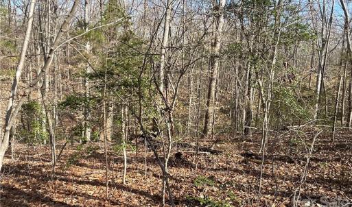 Photo #8 of 161 Little River Trail Little River, Indian Land, SC 25.4 acres