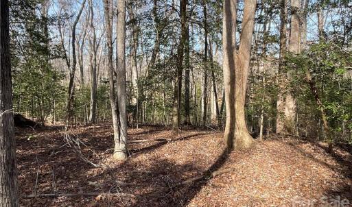 Photo #23 of 161 Little River Trail Little River, Indian Land, SC 25.4 acres