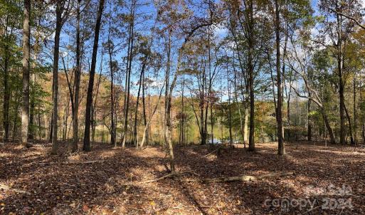 Photo #11 of SOLD property in Lot 6 Three Lakes, Waxhaw, NC