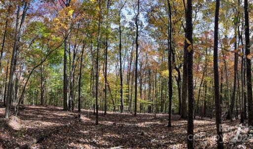 Photo #12 of SOLD property in Lot 6 Three Lakes, Waxhaw, NC