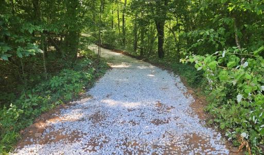 Photo #7 of River Bottom Ln, Concord, VA 231.2 acres