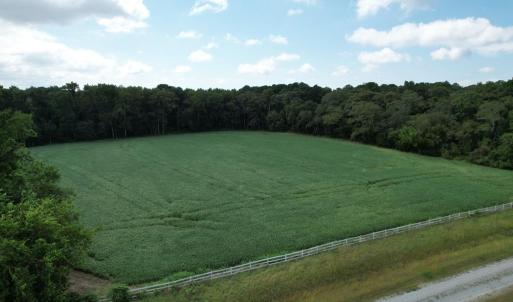 Photo #17 of 2 OYSTER RUN LANE, EASTVILLE, VA 713.0 acres