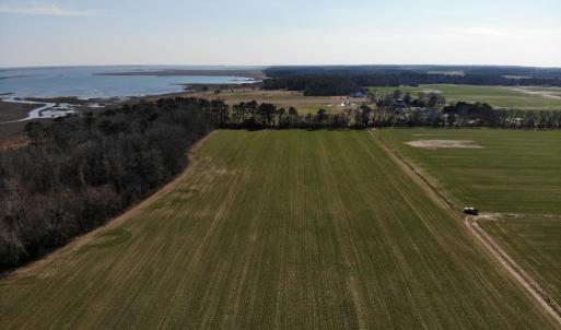 Photo #16 of 6049 POPLAR GROVE LN, CAPE CHARLES, VA 321.6 acres