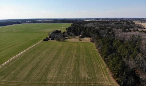 Photo #18 of 6049 POPLAR GROVE LN, CAPE CHARLES, VA 321.6 acres