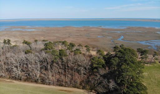 Photo #19 of 6049 POPLAR GROVE LN, CAPE CHARLES, VA 321.6 acres