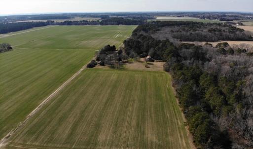 Photo #29 of 6049 POPLAR GROVE LN, CAPE CHARLES, VA 321.6 acres