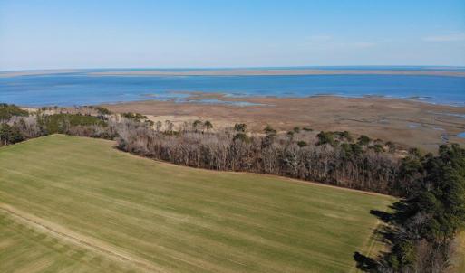 Photo #32 of 6049 POPLAR GROVE LN, CAPE CHARLES, VA 321.6 acres