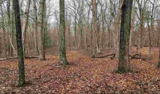 Photo #12 of 503 GARDEN LN, PALMYRA, VA 49.8 acres