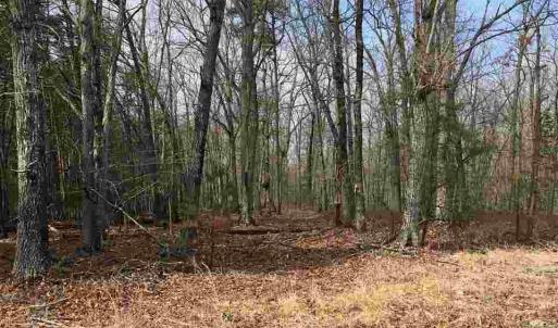 Photo #13 of 503 GARDEN LN, PALMYRA, VA 49.8 acres