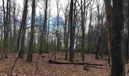 Photo #5 of 503 GARDEN LN, PALMYRA, VA 49.8 acres