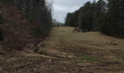 Photo #9 of 503 GARDEN LN, PALMYRA, VA 49.8 acres