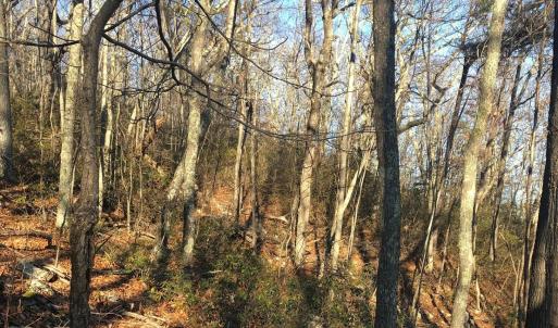 Photo #7 of TBD, MONTEREY, VA 43.4 acres