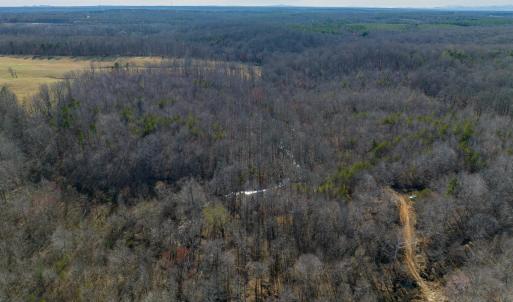 Photo #15 of BREMO RD, STAGE JUNCTION, VA 53.1 acres
