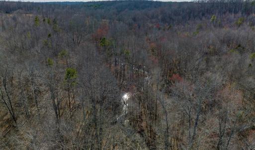 Photo #17 of BREMO RD, STAGE JUNCTION, VA 53.1 acres