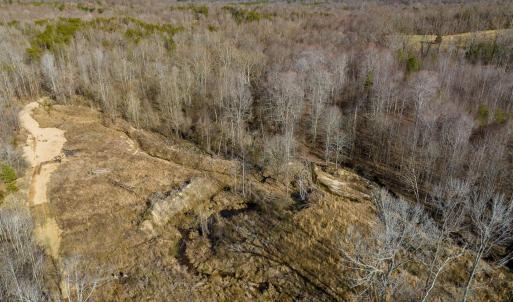 Photo #21 of BREMO RD, STAGE JUNCTION, VA 53.1 acres