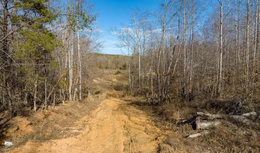 Photo #6 of BREMO RD, STAGE JUNCTION, VA 53.1 acres