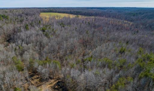 Photo #9 of BREMO RD, STAGE JUNCTION, VA 53.1 acres