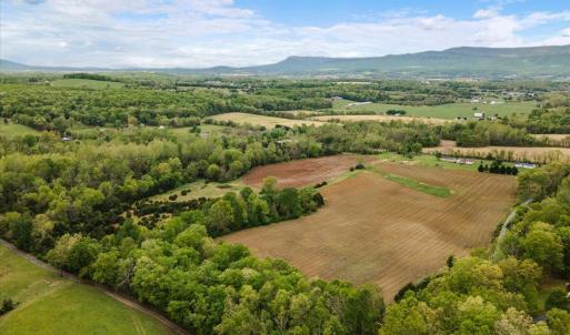 Photo #7 of LOOP RD, ELKTON, VA 51.2 acres