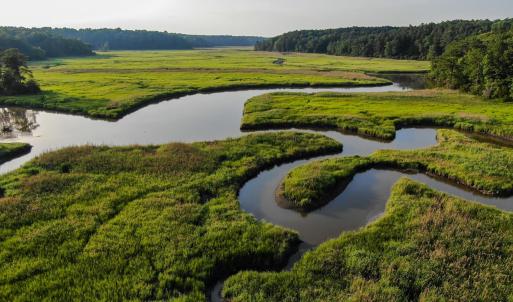 Photo #6 of SYCAMORE LANDING BLVD, WILLIAMSBURG, VA 395.0 acres