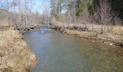 Photo #31 of SOLD property in 3328 UPPER BACK CREEK RD, MONTEREY, VA 32.0 acres