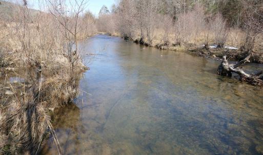 Photo #6 of SOLD property in 3328 UPPER BACK CREEK RD, MONTEREY, VA 32.0 acres