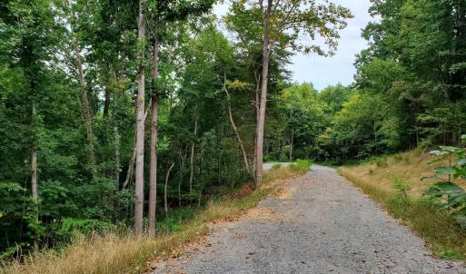 Photo #21 of 118 LEXINGTON CT, STANARDSVILLE, VA 19.4 acres