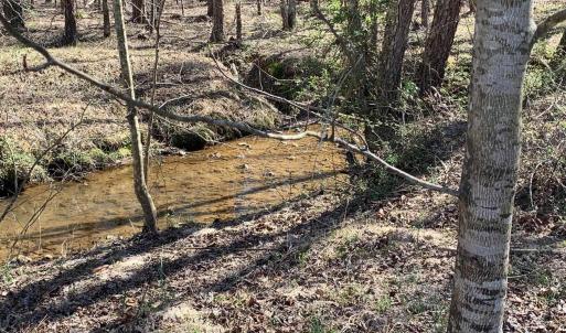 Photo #20 of TM 63-22 TATUM RD, UNIONVILLE, VA 271.9 acres