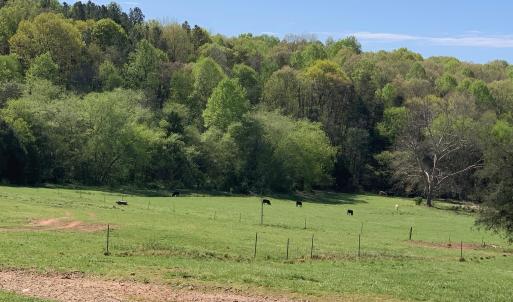 Photo #10 of TM 63-22 TATUM RD, UNIONVILLE, VA 271.9 acres